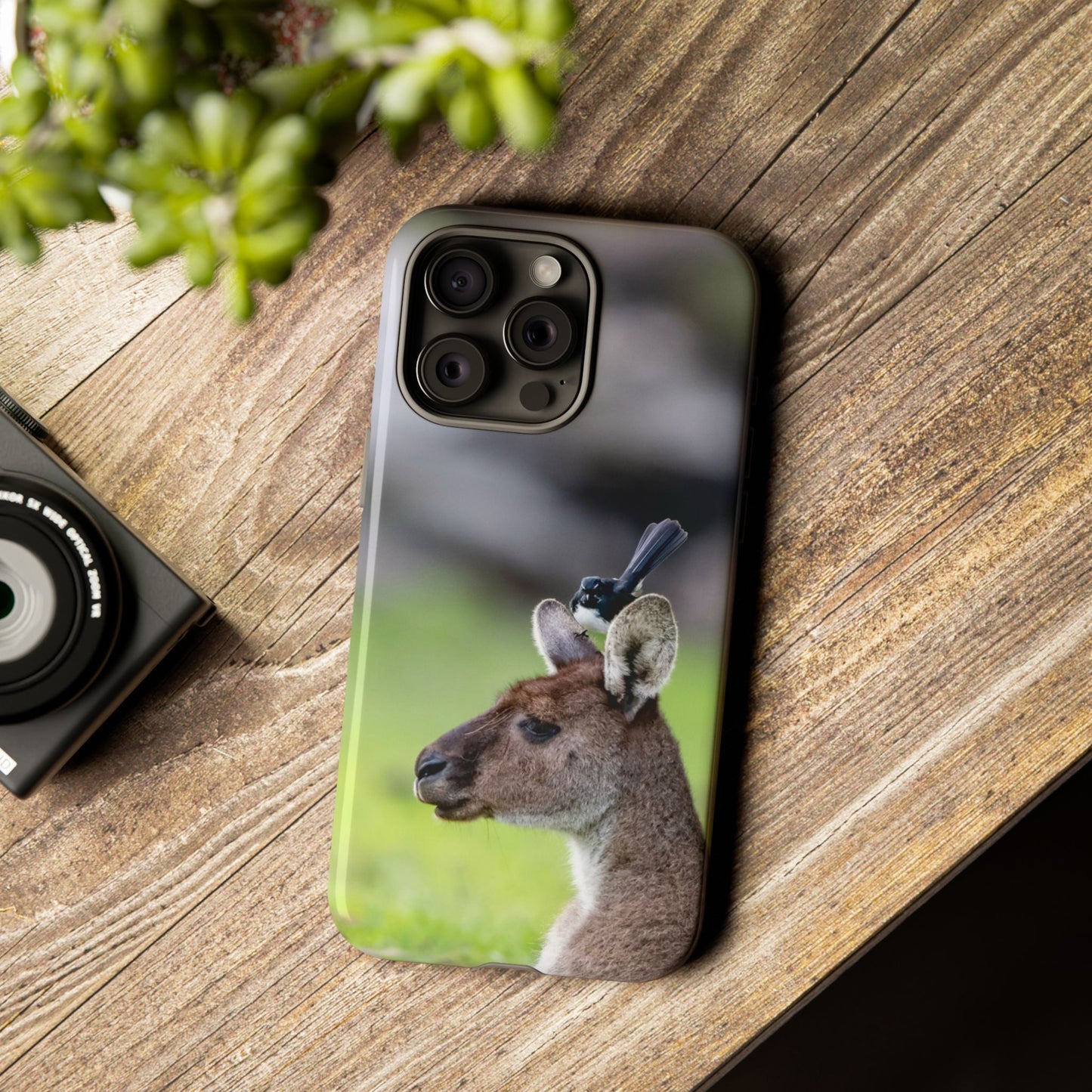 Willie Wagtail + Western Grey Kangaroo - Tough Case - Fono Caso x EstebantheNatureman - Wildlife Photography Case - Gift for Bird Lovers