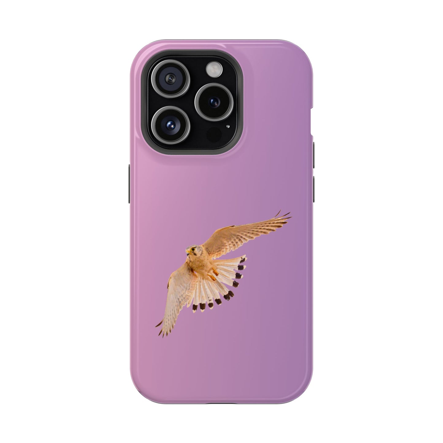 Nankeen Kestral - Magnetic Impact-Resistant Case - Fono Caso x EstebantheNatureman - Wildlife Case - Gift for Bird Lovers