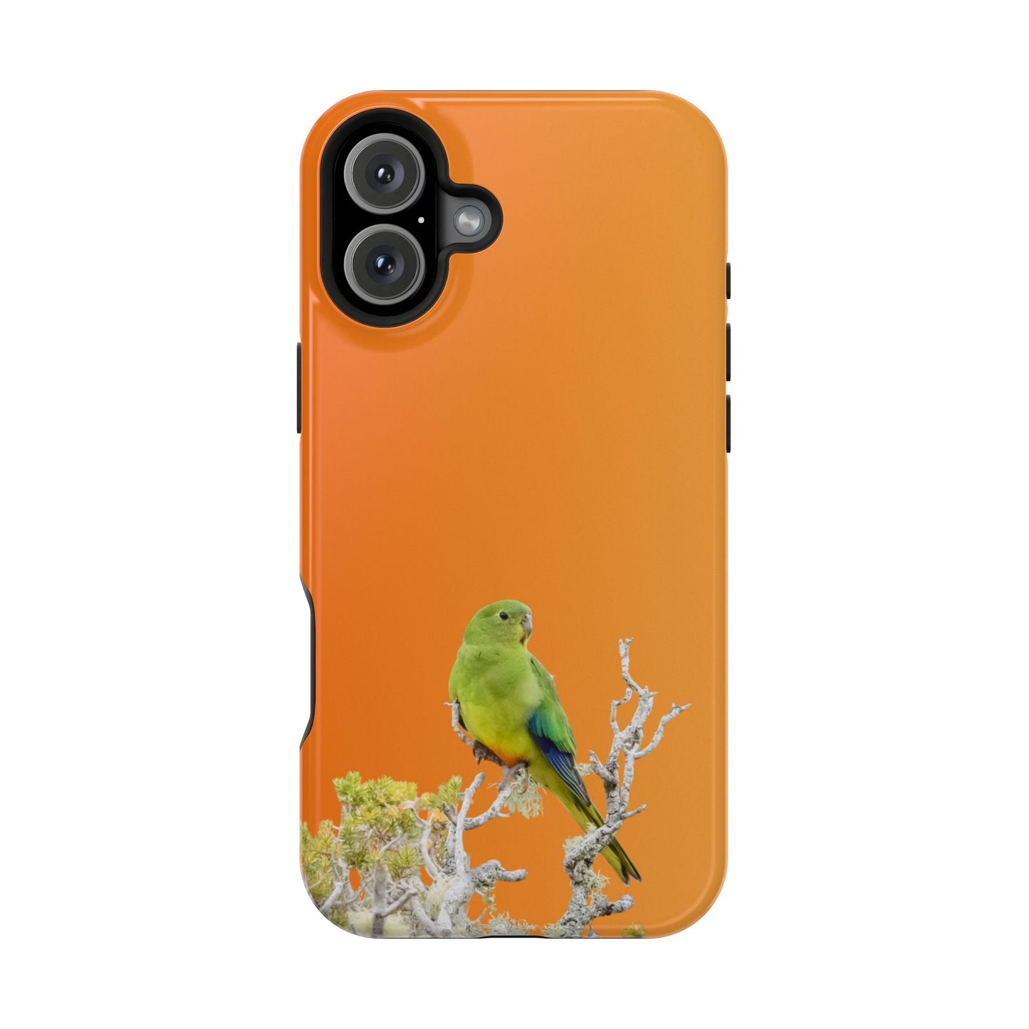 Orange-bellied Parrot - Magnetic Impact-Resistant Phone Case - Fono Caso x EstebantheNatureman - Wildlife Case - Gift for Bird Lovers