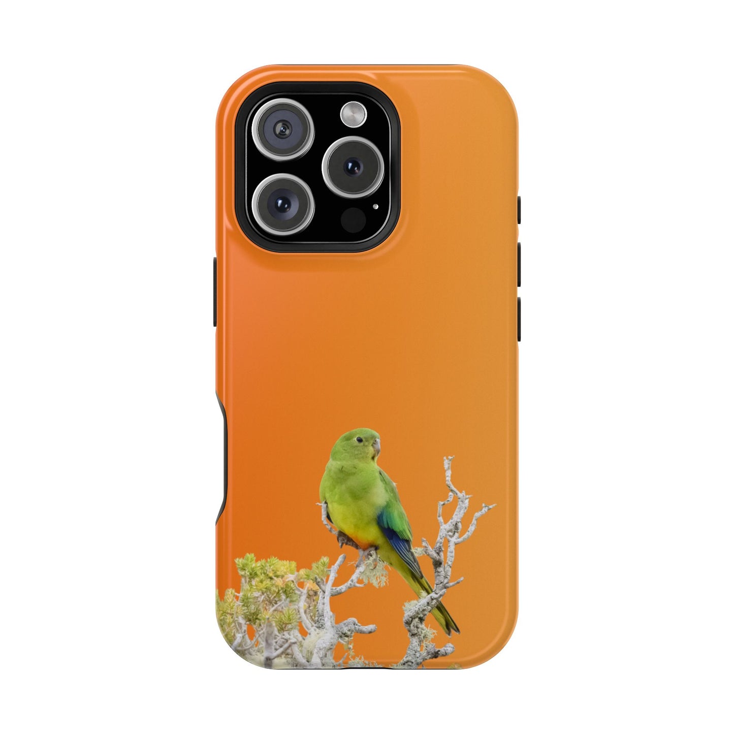 Orange-bellied Parrot - Magnetic Impact-Resistant Phone Case - Fono Caso x EstebantheNatureman - Wildlife Case - Gift for Bird Lovers