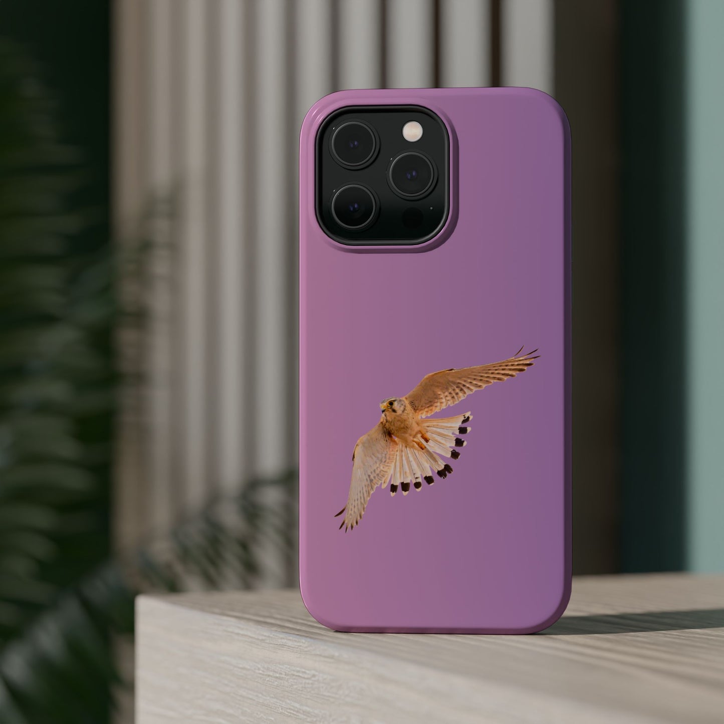 Nankeen Kestral - Magnetic Impact-Resistant Case - Fono Caso x EstebantheNatureman - Wildlife Case - Gift for Bird Lovers