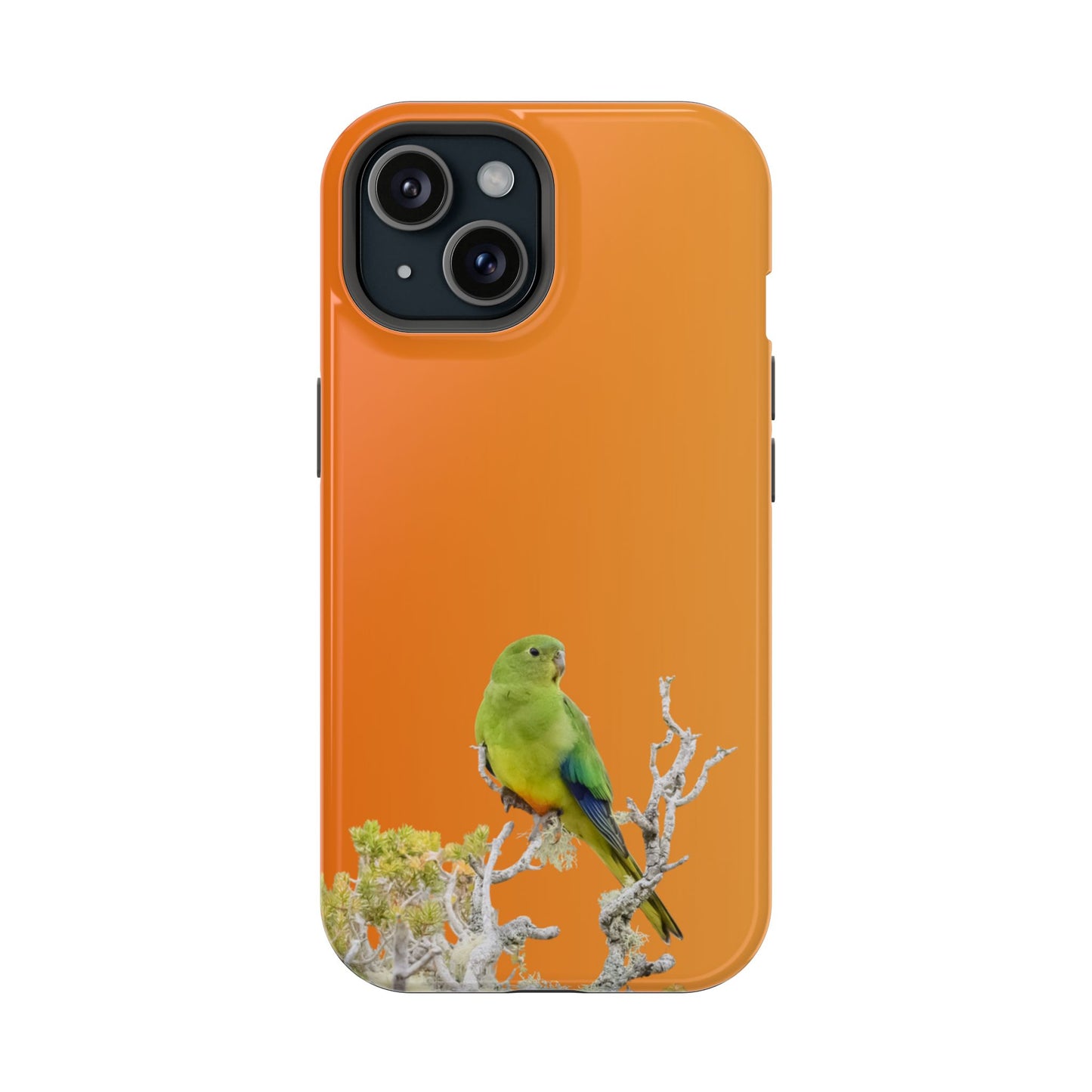 Orange-bellied Parrot - Magnetic Impact-Resistant Phone Case - Fono Caso x EstebantheNatureman - Wildlife Case - Gift for Bird Lovers