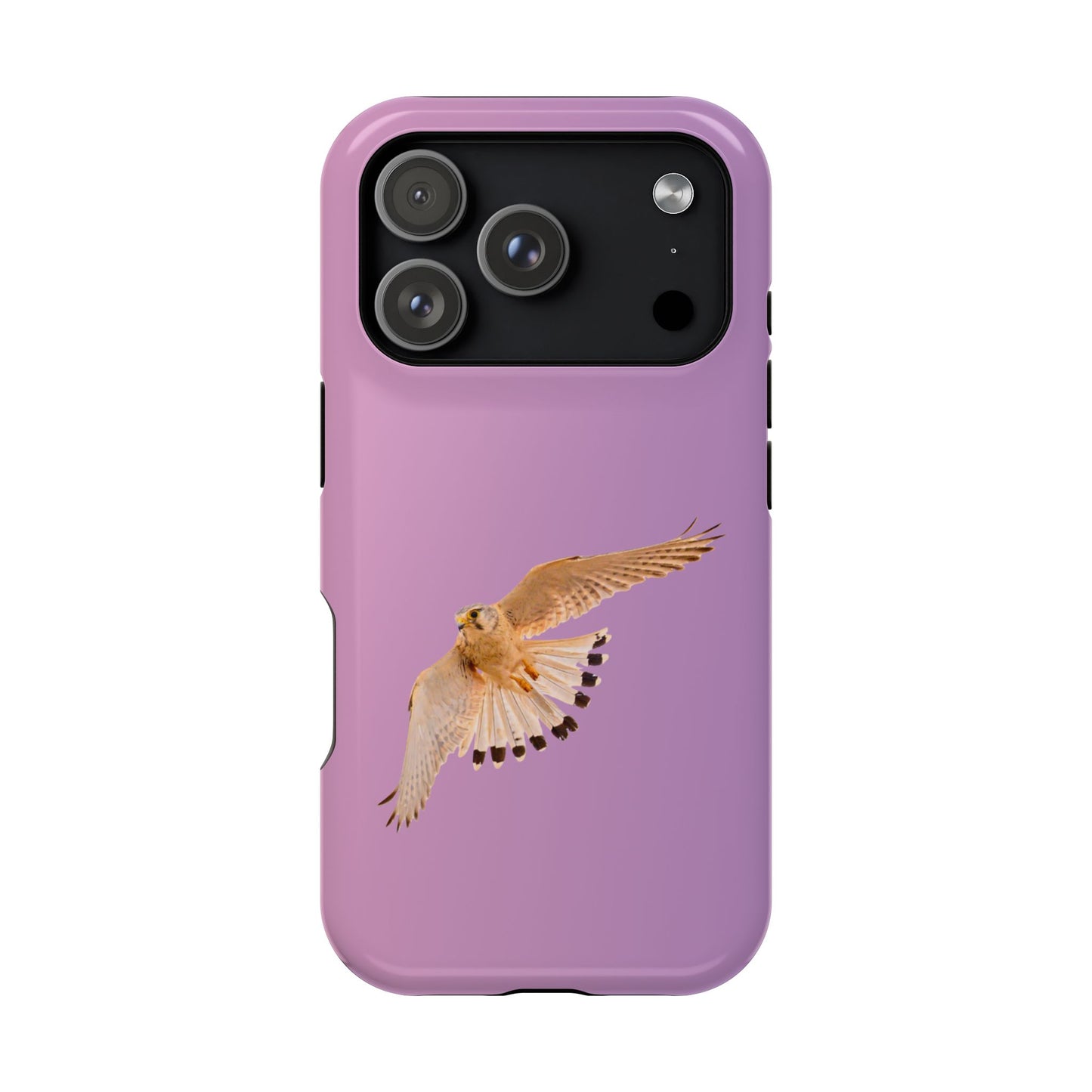Nankeen Kestral - Magnetic Impact-Resistant Case - Fono Caso x EstebantheNatureman - Wildlife Case - Gift for Bird Lovers