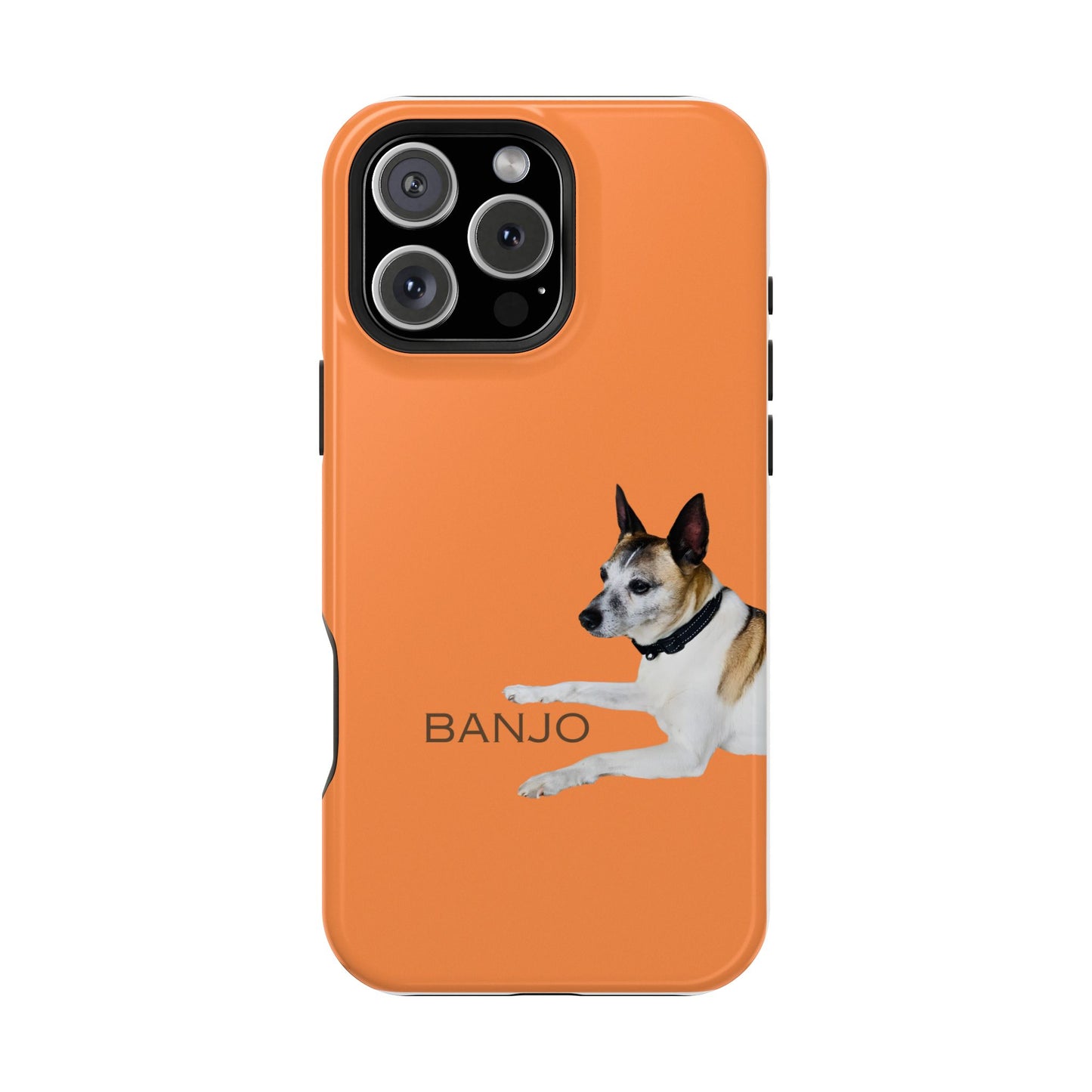 Customizable Magnetic Impact-Resistant Phone Case Your Pet Photo or Digital Painting with Name_5_iPhone 13 and up