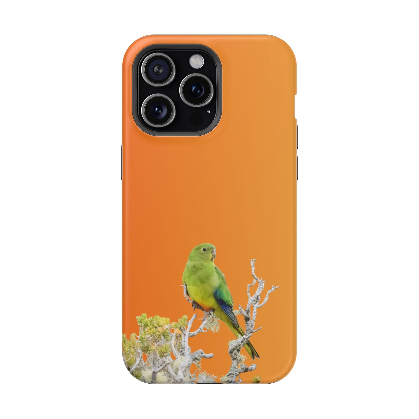 Orange-bellied Parrot - Magnetic Impact-Resistant Phone Case - Fono Caso x EstebantheNatureman - Wildlife Case - Gift for Bird Lovers