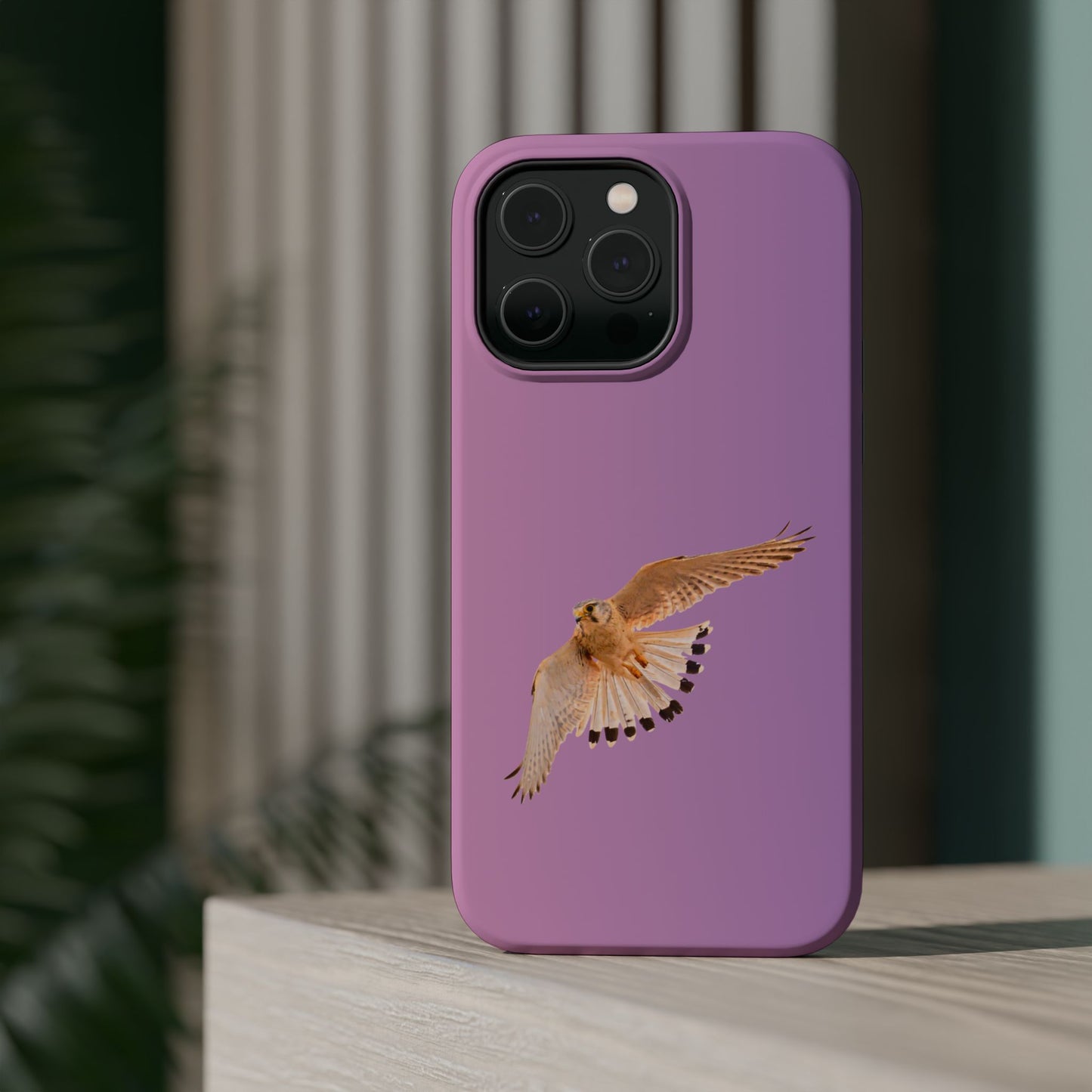 Nankeen Kestral - Magnetic Impact-Resistant Case - Fono Caso x EstebantheNatureman - Wildlife Case - Gift for Bird Lovers