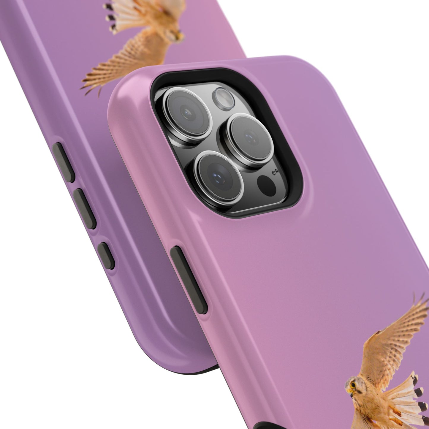 Nankeen Kestral - Magnetic Impact-Resistant Case - Fono Caso x EstebantheNatureman - Wildlife Case - Gift for Bird Lovers