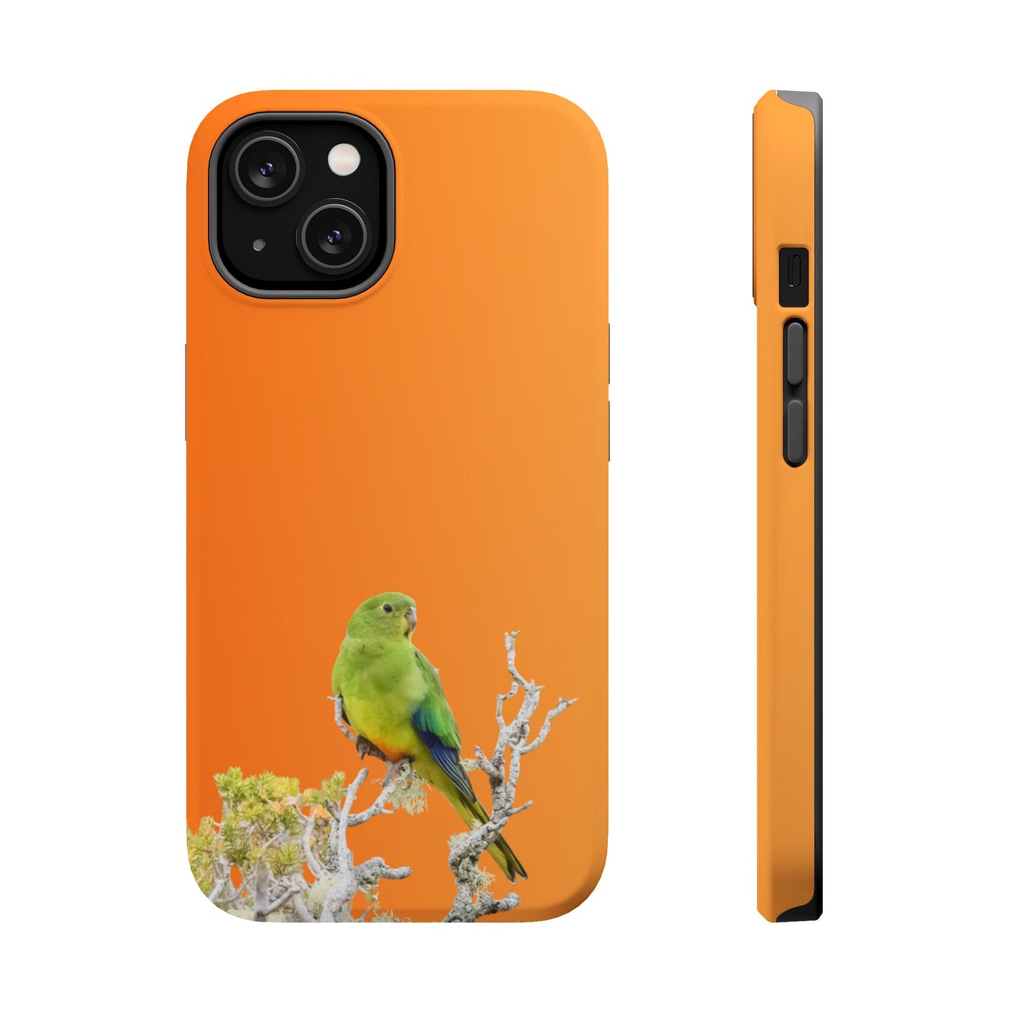 Orange-bellied Parrot - Magnetic Impact-Resistant Phone Case - Fono Caso x EstebantheNatureman - Wildlife Case - Gift for Bird Lovers
