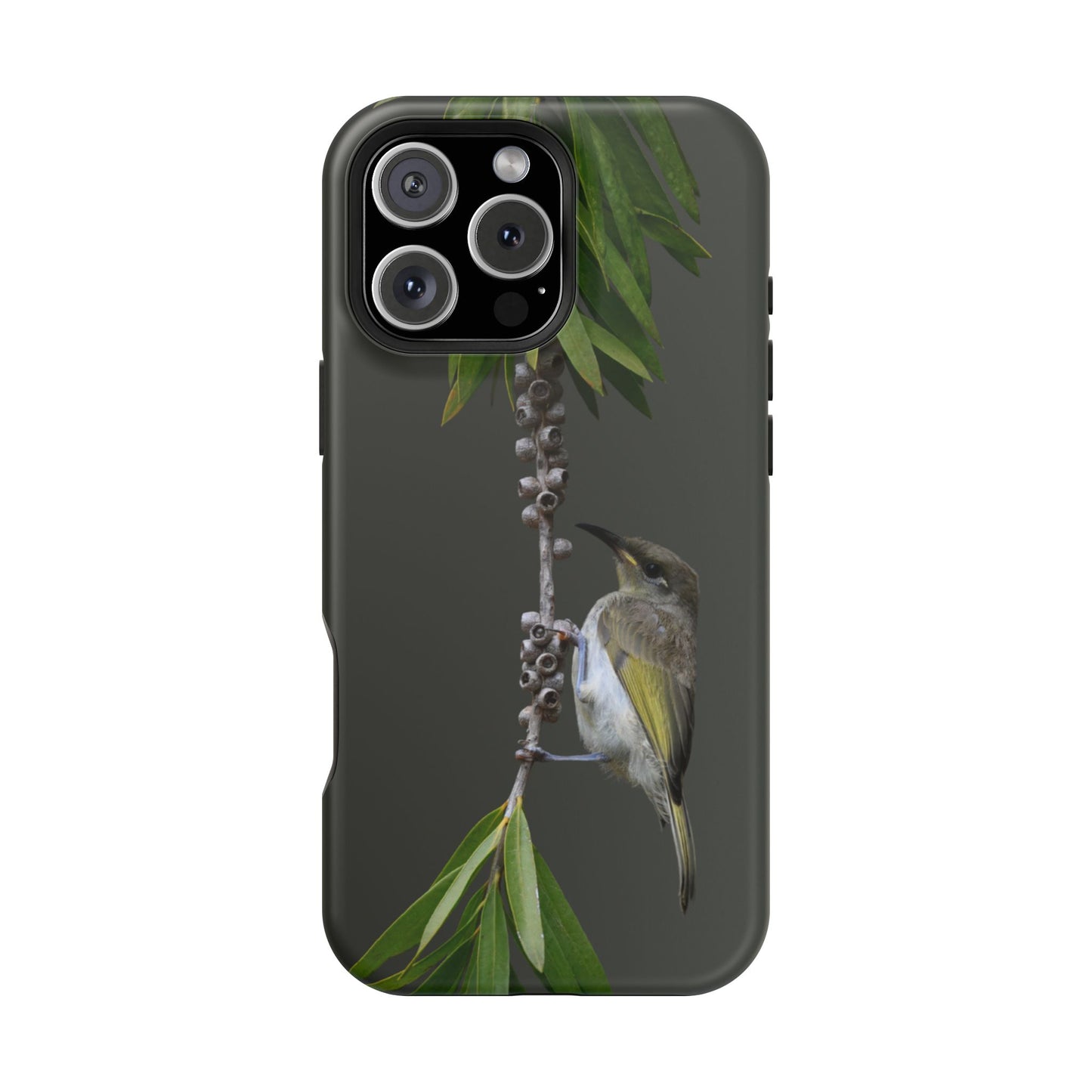 Brown Honeyeater - Magnetic Impact-Resistant Phone Case - Fono Caso x EstebantheNatureman - Wildlife Photography Case - Gift for Bird Lovers