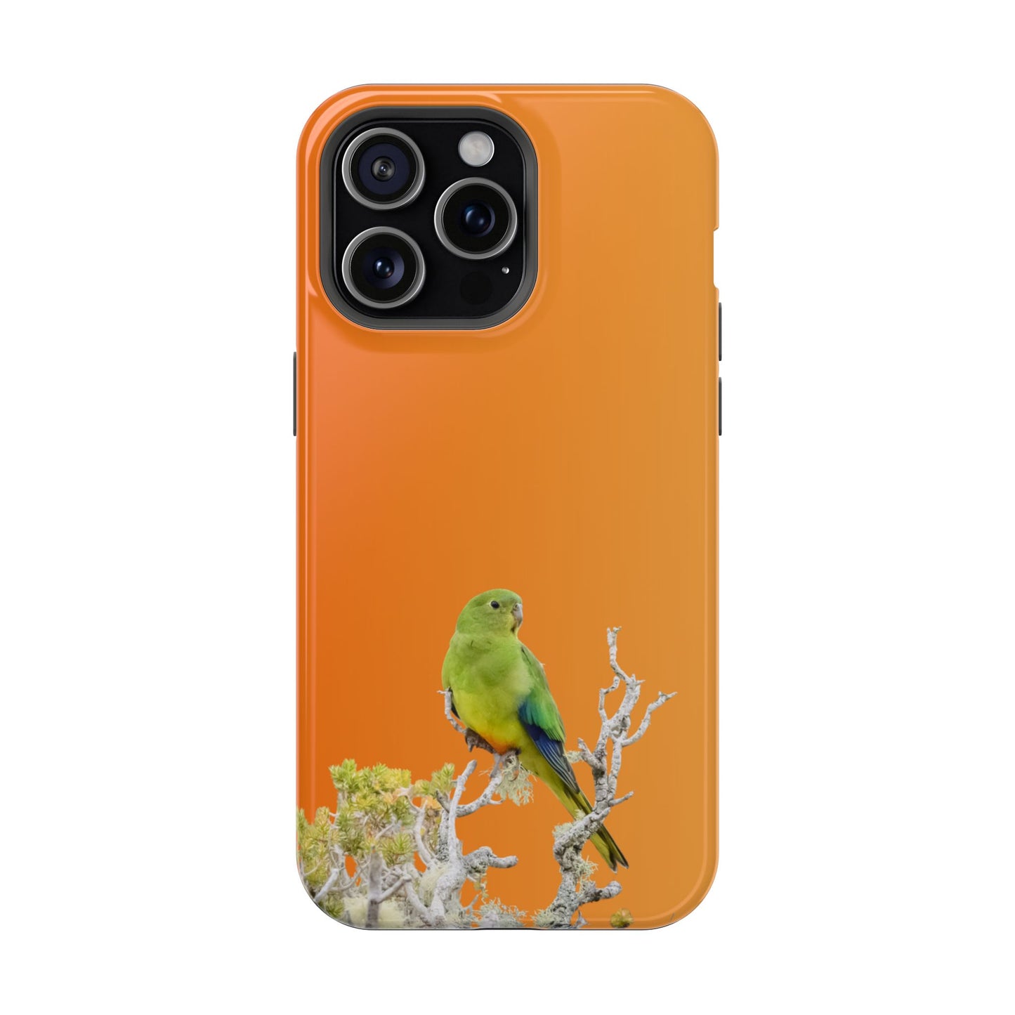 Orange-bellied Parrot - Magnetic Impact-Resistant Phone Case - Fono Caso x EstebantheNatureman - Wildlife Case - Gift for Bird Lovers