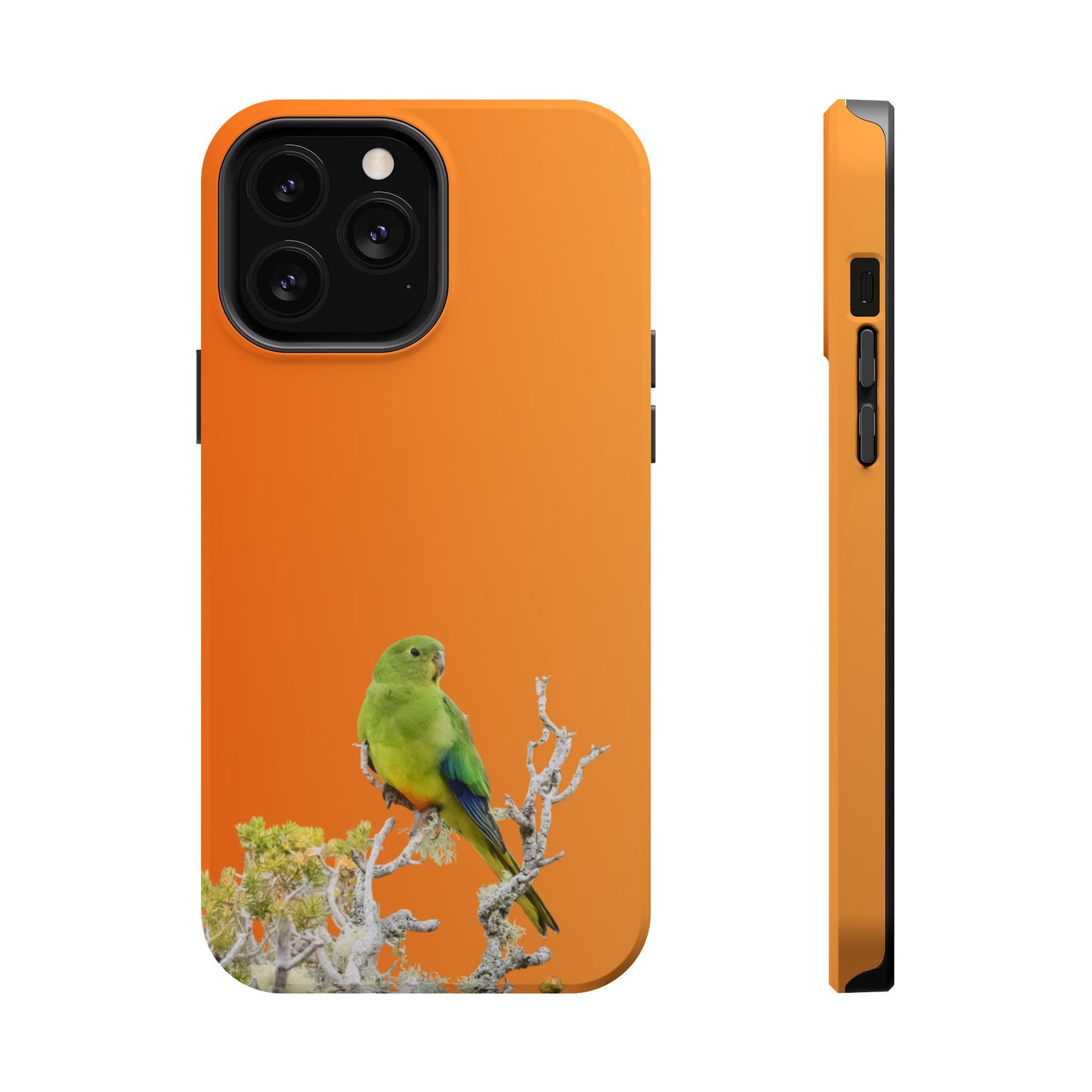 Orange-bellied Parrot - Magnetic Impact-Resistant Phone Case - Fono Caso x EstebantheNatureman - Wildlife Case - Gift for Bird Lovers