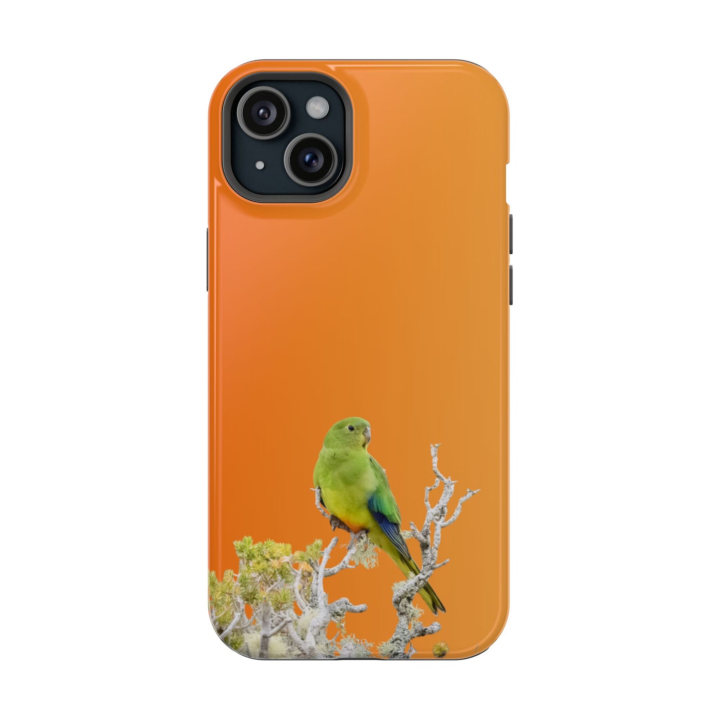 Orange-bellied Parrot - Magnetic Impact-Resistant Phone Case - Fono Caso x EstebantheNatureman - Wildlife Case - Gift for Bird Lovers