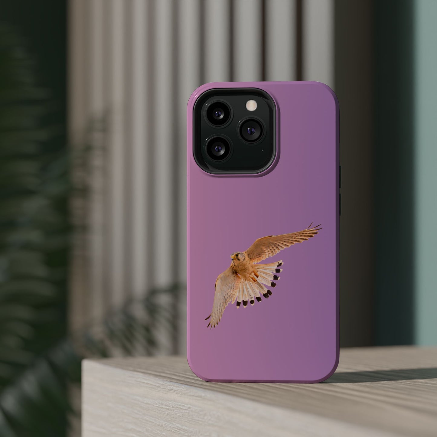 Nankeen Kestral - Magnetic Impact-Resistant Case - Fono Caso x EstebantheNatureman - Wildlife Case - Gift for Bird Lovers