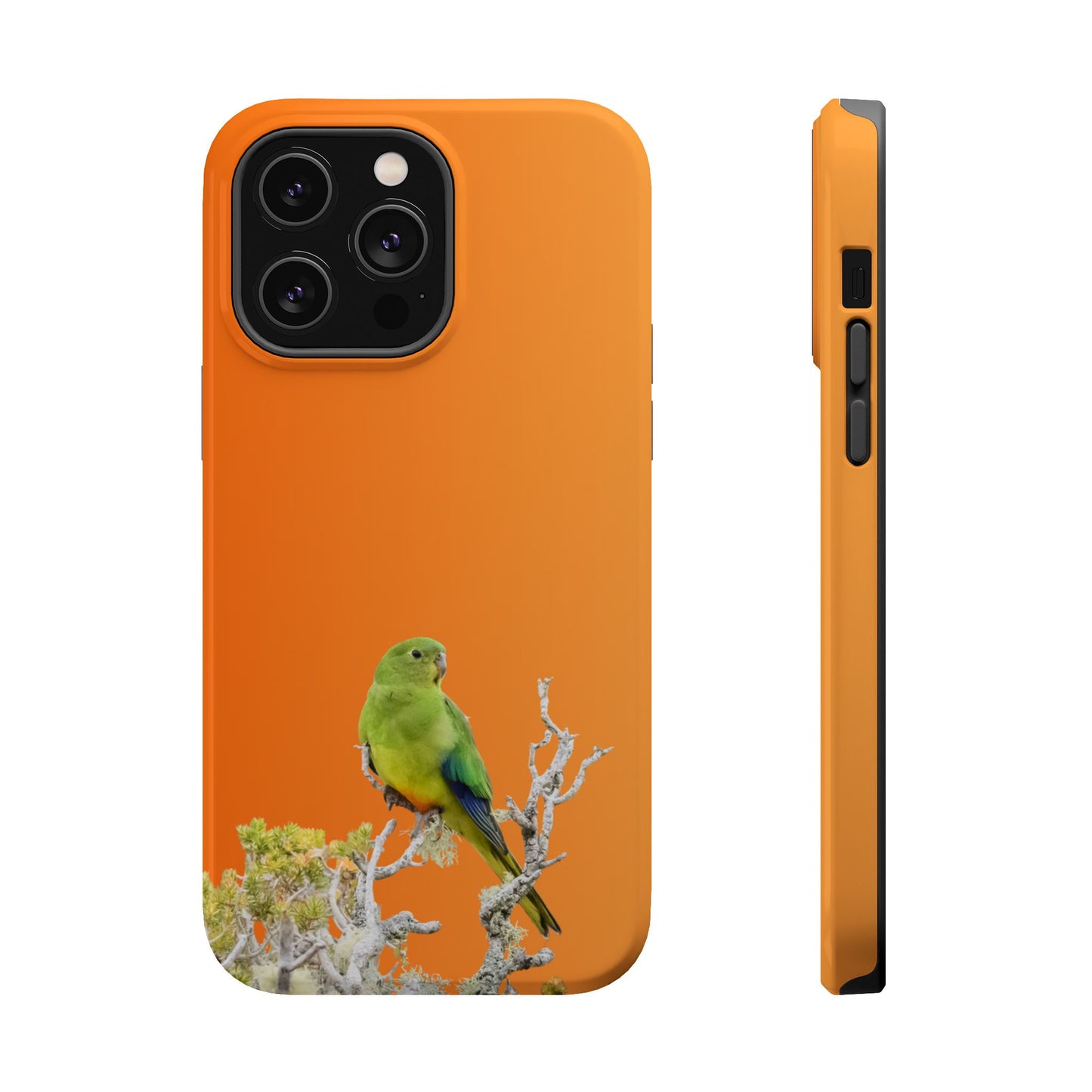 Orange-bellied Parrot - Magnetic Impact-Resistant Phone Case - Fono Caso x EstebantheNatureman - Wildlife Case - Gift for Bird Lovers