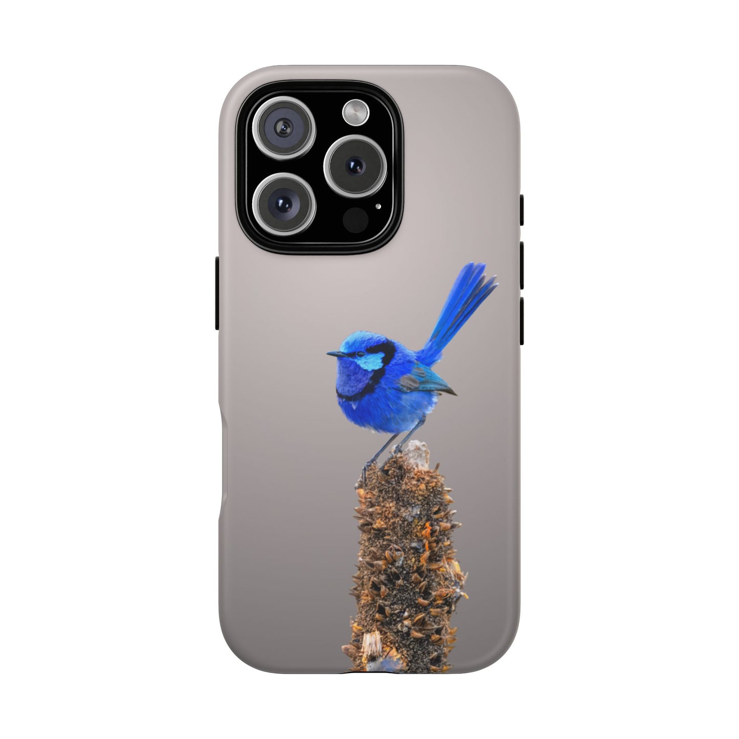 Splendid Fairywren - Tough Phone Case - Fono Caso x EstebantheNatureman - Wildlife Photography Case - Gift for Bird Lovers