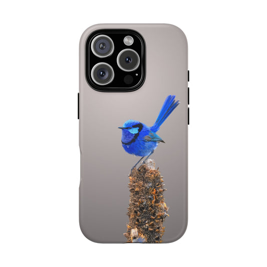 Splendid Fairywren - Tough Phone Case - Fono Caso x EstebantheNatureman - Wildlife Photography Case - Gift for Bird Lovers