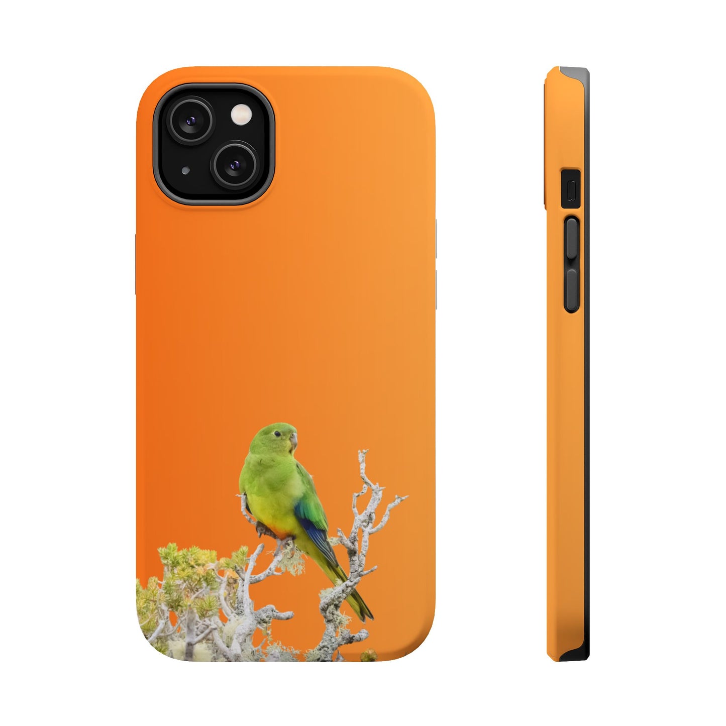 Orange-bellied Parrot - Magnetic Impact-Resistant Phone Case - Fono Caso x EstebantheNatureman - Wildlife Case - Gift for Bird Lovers