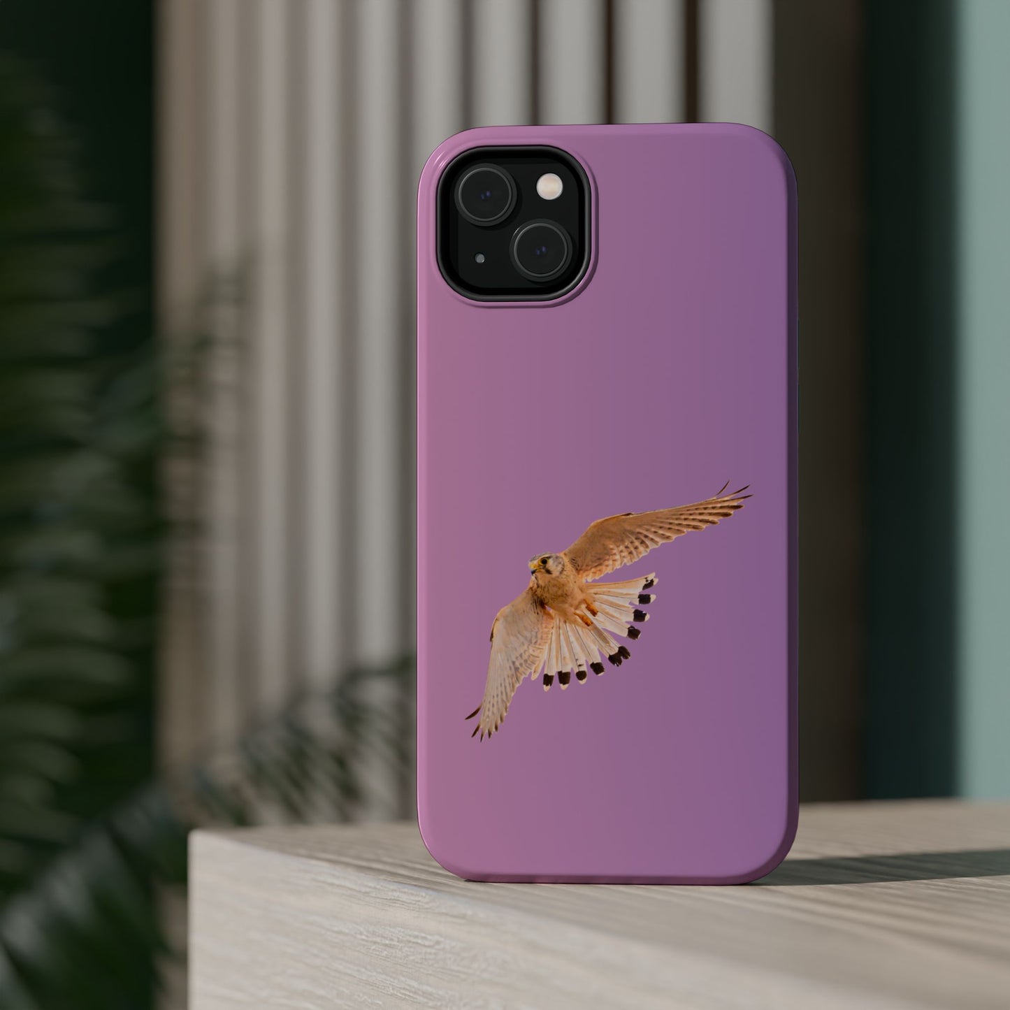Nankeen Kestral - Magnetic Impact-Resistant Case - Fono Caso x EstebantheNatureman - Wildlife Case - Gift for Bird Lovers