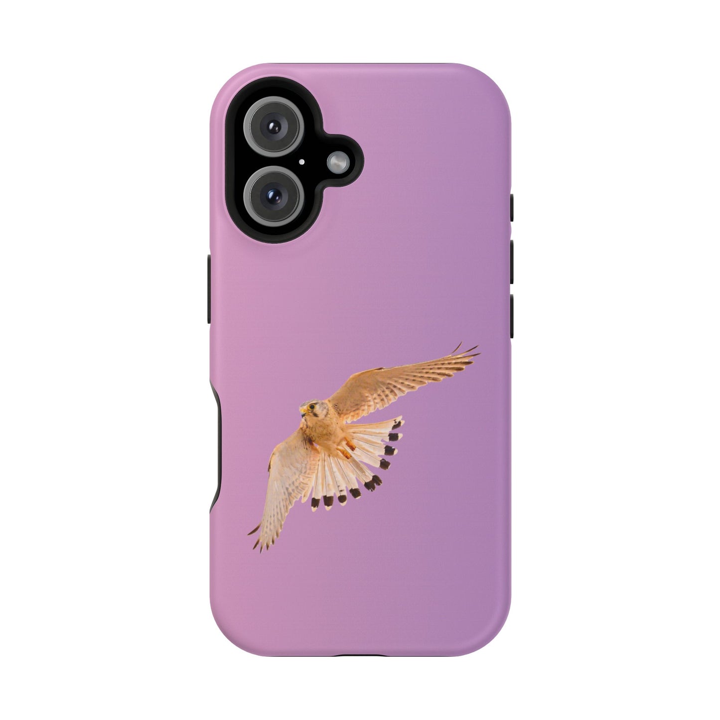 Nankeen Kestral - Magnetic Impact-Resistant Case - Fono Caso x EstebantheNatureman - Wildlife Case - Gift for Bird Lovers