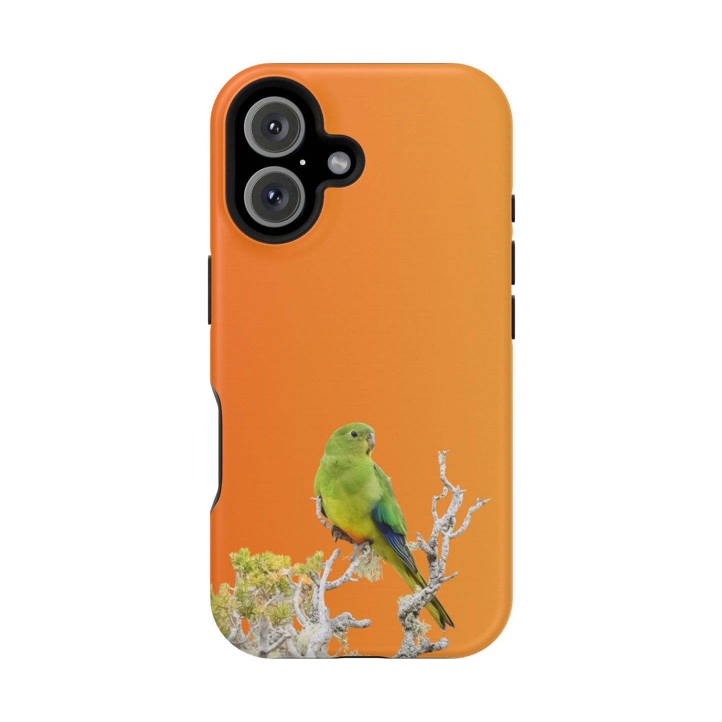 Orange-bellied Parrot - Magnetic Impact-Resistant Phone Case - Fono Caso x EstebantheNatureman - Wildlife Case - Gift for Bird Lovers