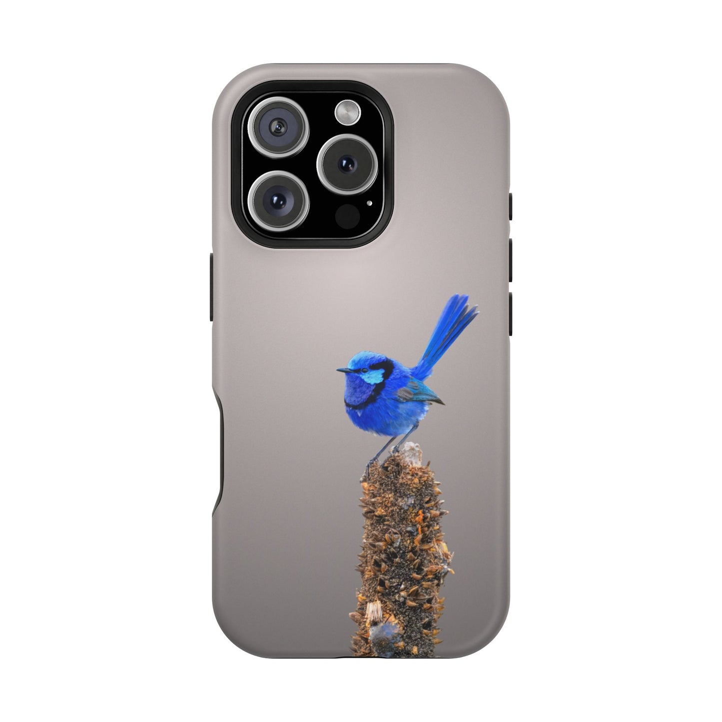 Splendid Fairywren - Magnetic Impact-Resistant Phone Case - Fono Caso x EstebantheNatureman - Wildlife Case - Gift for Bird Lovers