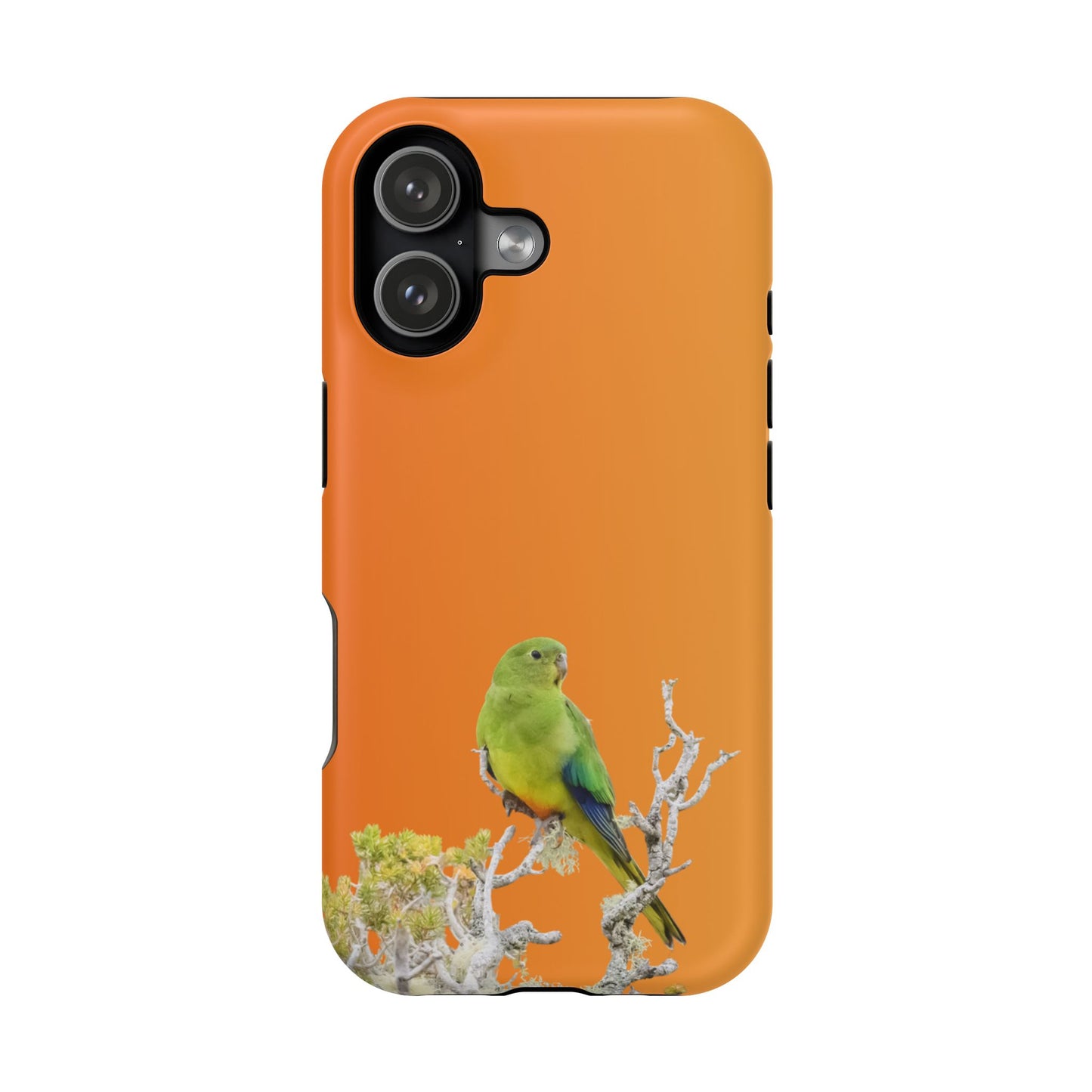 Orange-bellied Parrot - Magnetic Impact-Resistant Phone Case - Fono Caso x EstebantheNatureman - Wildlife Case - Gift for Bird Lovers