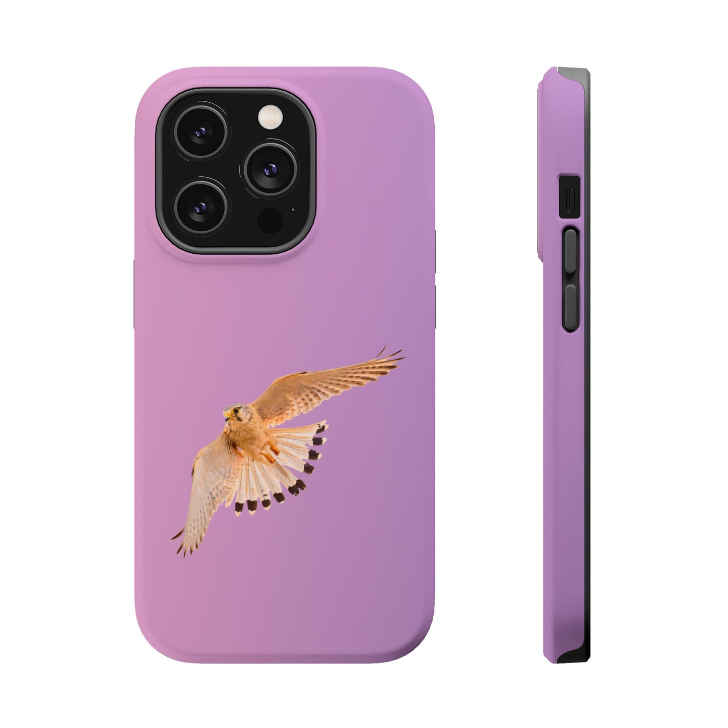 Nankeen Kestral - Magnetic Impact-Resistant Case - Fono Caso x EstebantheNatureman - Wildlife Case - Gift for Bird Lovers