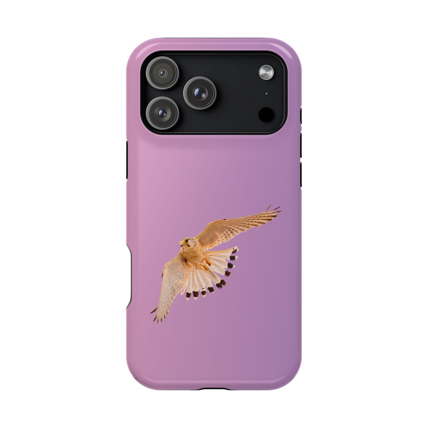 Nankeen Kestral - Magnetic Impact-Resistant Case - Fono Caso x EstebantheNatureman - Wildlife Case - Gift for Bird Lovers