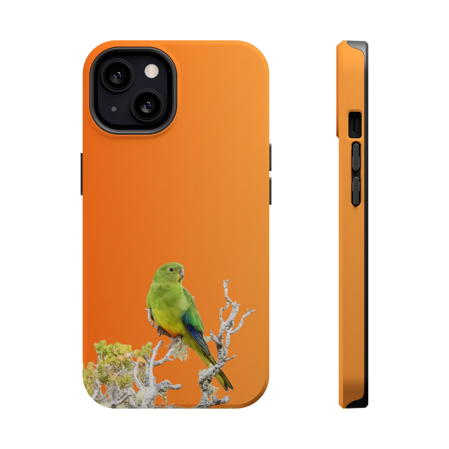 Orange-bellied Parrot - Magnetic Impact-Resistant Phone Case - Fono Caso x EstebantheNatureman - Wildlife Case - Gift for Bird Lovers