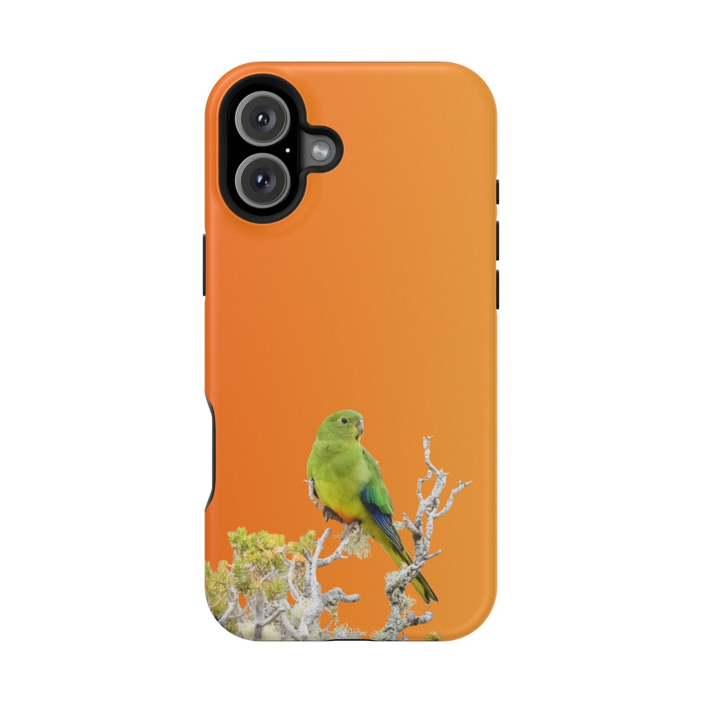 Orange-bellied Parrot - Magnetic Impact-Resistant Phone Case - Fono Caso x EstebantheNatureman - Wildlife Case - Gift for Bird Lovers