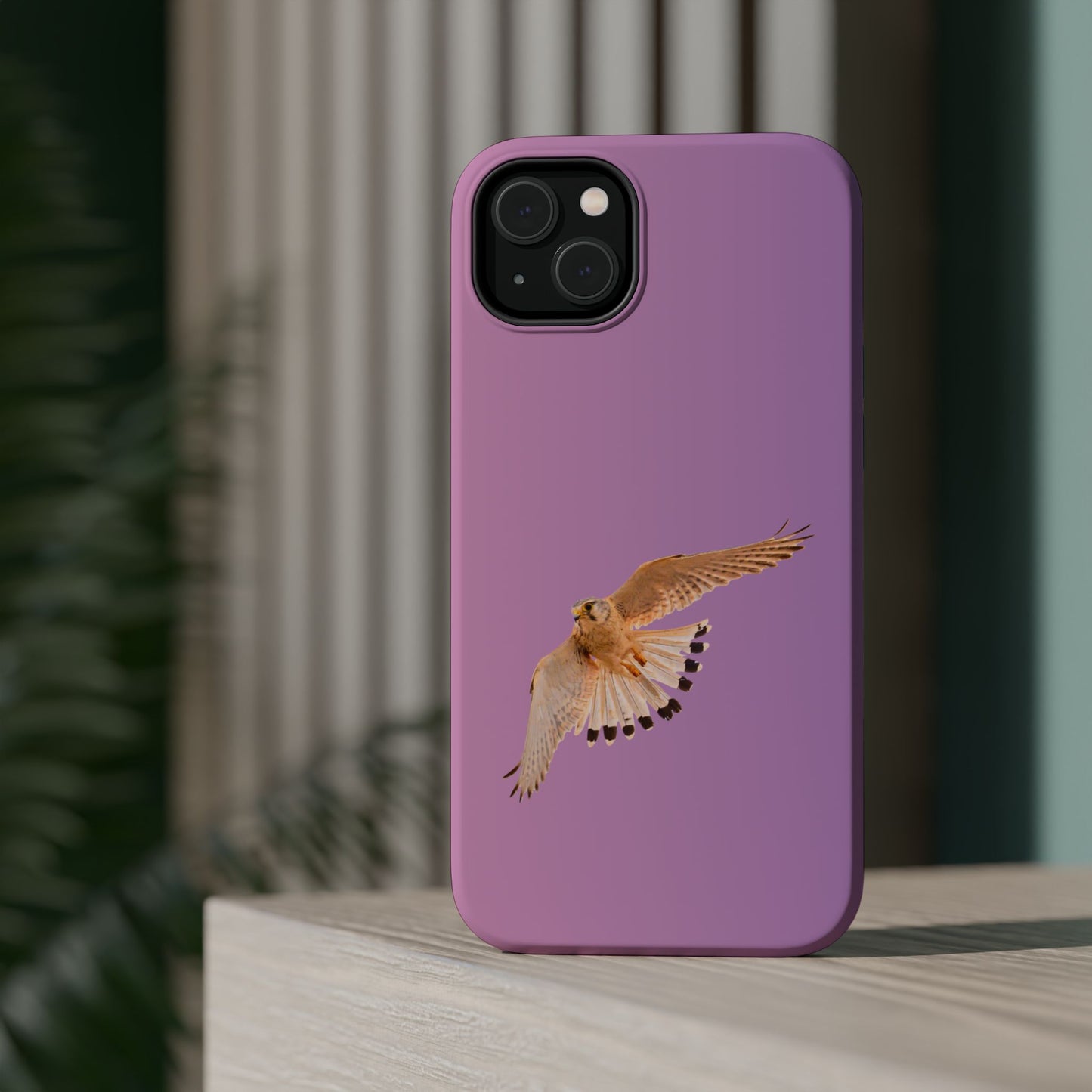 Nankeen Kestral - Magnetic Impact-Resistant Case - Fono Caso x EstebantheNatureman - Wildlife Case - Gift for Bird Lovers