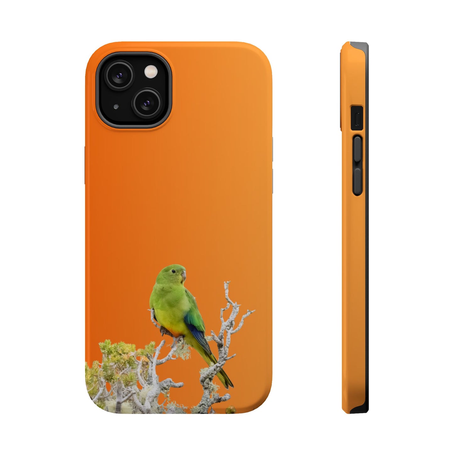 Orange-bellied Parrot - Magnetic Impact-Resistant Phone Case - Fono Caso x EstebantheNatureman - Wildlife Case - Gift for Bird Lovers