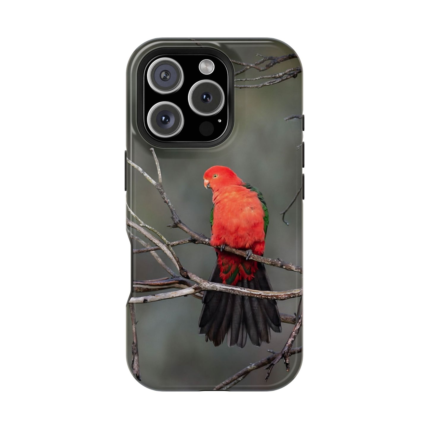 Australian King Parrot - Magnetic Impact-Resistant Case - Fono Caso x EstebantheNatureman - Wildlife Photography Case - Gift for Bird Lovers
