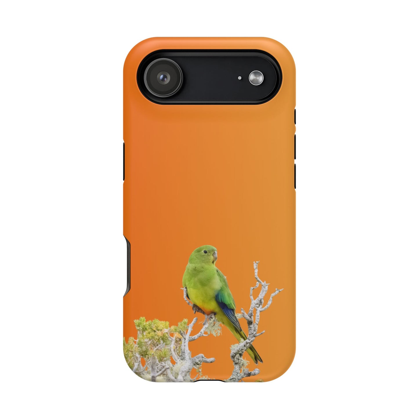 Orange-bellied Parrot - Magnetic Impact-Resistant Phone Case - Fono Caso x EstebantheNatureman - Wildlife Case - Gift for Bird Lovers