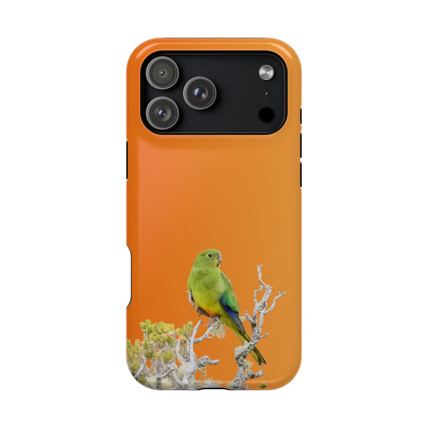 Orange-bellied Parrot - Magnetic Impact-Resistant Phone Case - Fono Caso x EstebantheNatureman - Wildlife Case - Gift for Bird Lovers