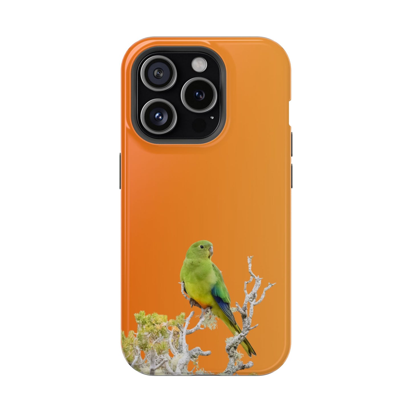 Orange-bellied Parrot - Magnetic Impact-Resistant Phone Case - Fono Caso x EstebantheNatureman - Wildlife Case - Gift for Bird Lovers