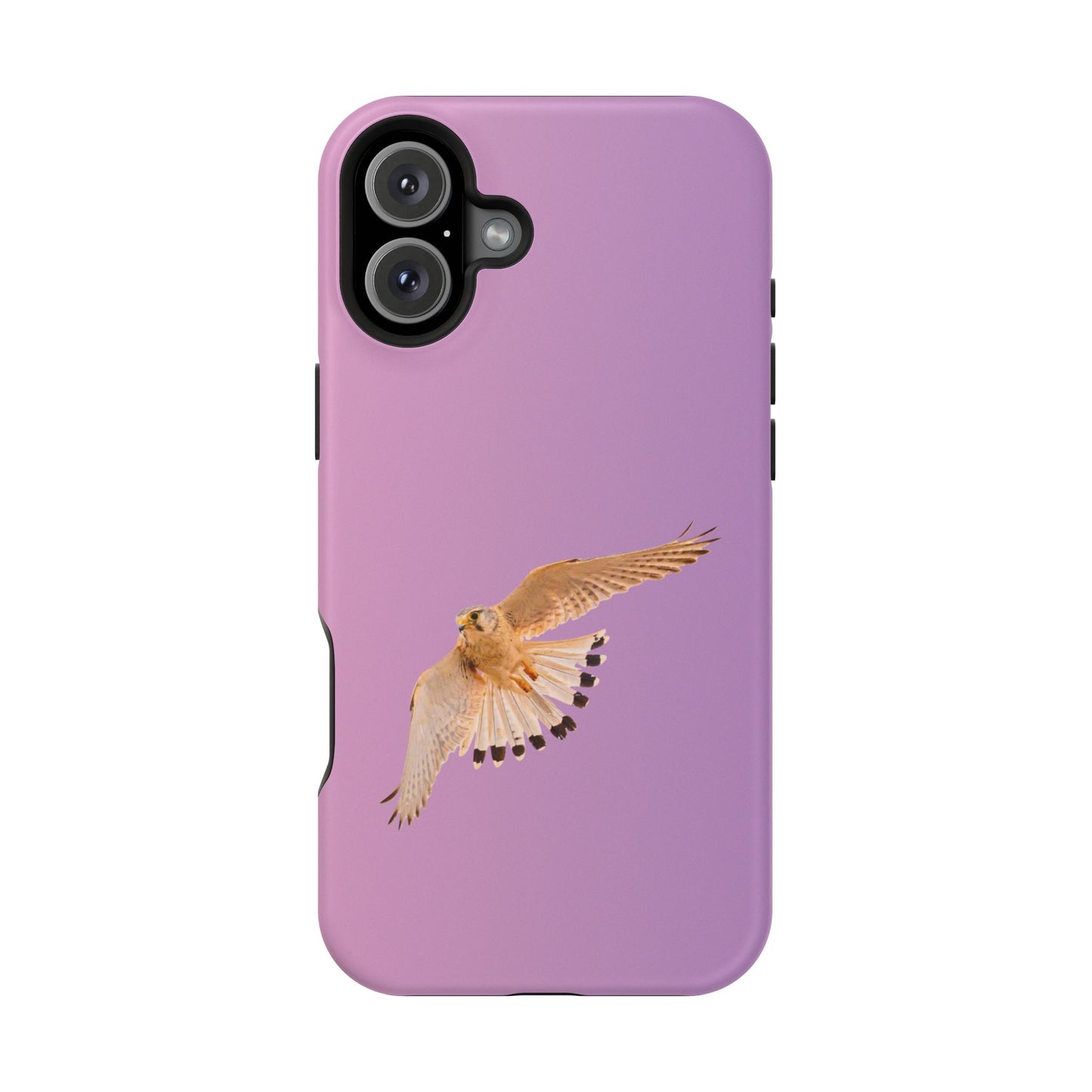 Nankeen Kestral - Magnetic Impact-Resistant Case - Fono Caso x EstebantheNatureman - Wildlife Case - Gift for Bird Lovers