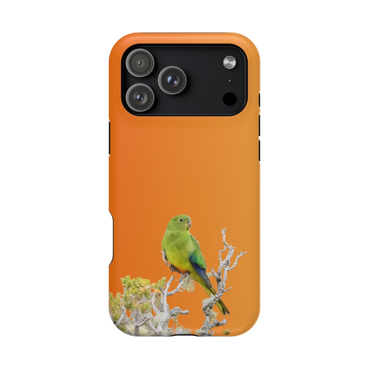 Orange-bellied Parrot - Magnetic Impact-Resistant Phone Case - Fono Caso x EstebantheNatureman - Wildlife Case - Gift for Bird Lovers