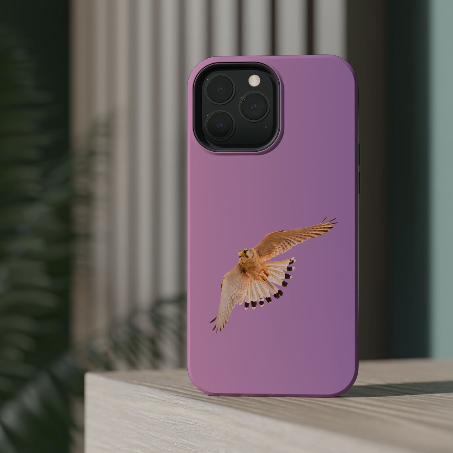 Nankeen Kestral - Magnetic Impact-Resistant Case - Fono Caso x EstebantheNatureman - Wildlife Case - Gift for Bird Lovers