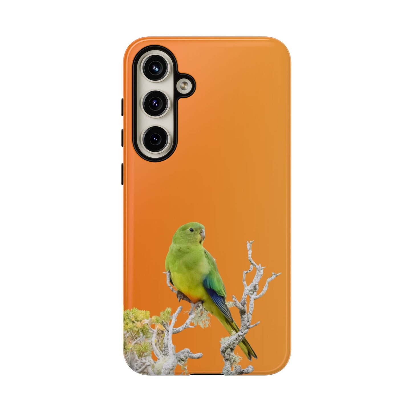 Orange-bellied Parrot - Tough Phone Case - Fono Caso x EstebantheNatureman - Wildlife Photography Case - Gift for Bird Lovers