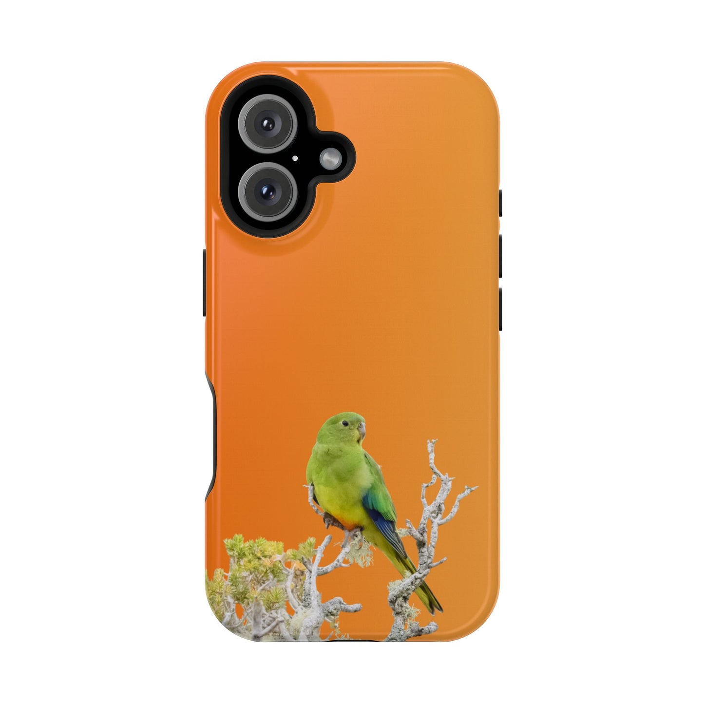 Orange-bellied Parrot - Magnetic Impact-Resistant Phone Case - Fono Caso x EstebantheNatureman - Wildlife Case - Gift for Bird Lovers