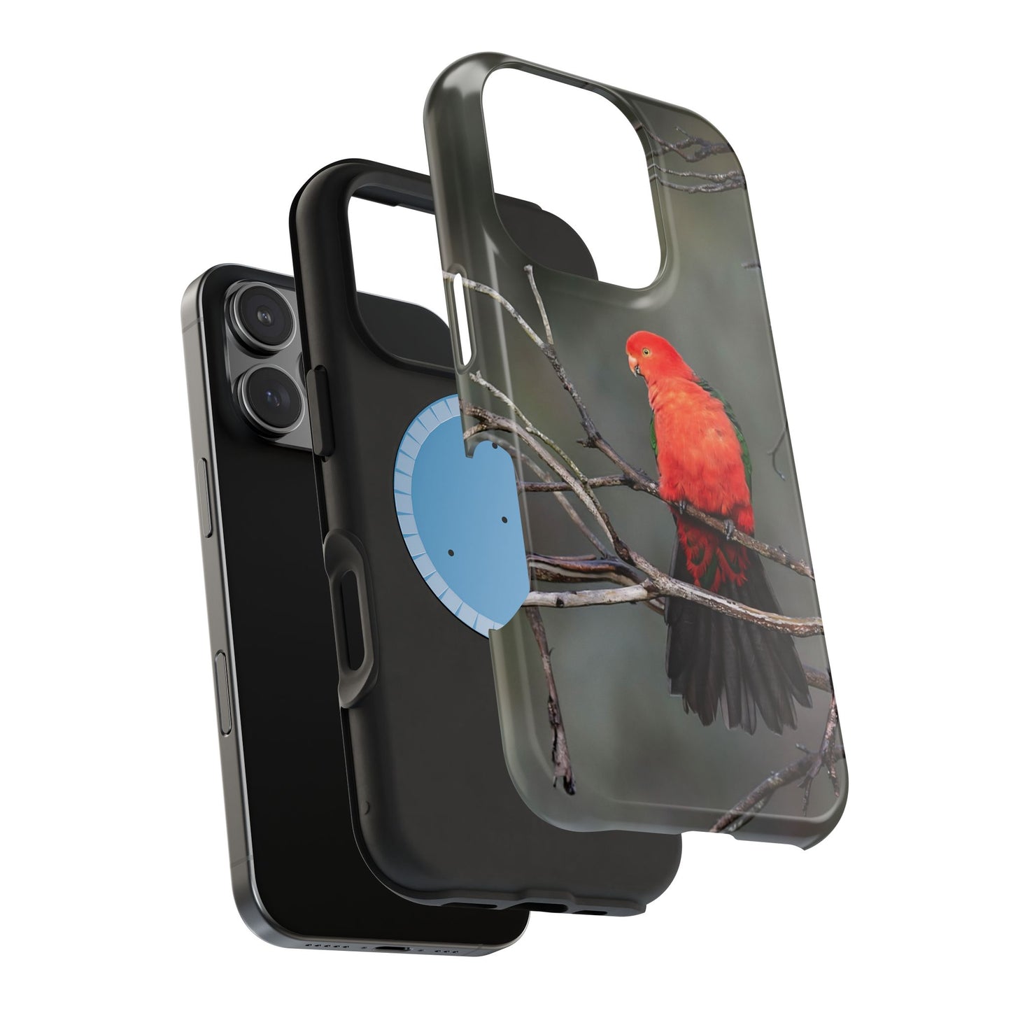 Australian King Parrot - Magnetic Impact-Resistant Case - Fono Caso x EstebantheNatureman - Wildlife Photography Case - Gift for Bird Lovers