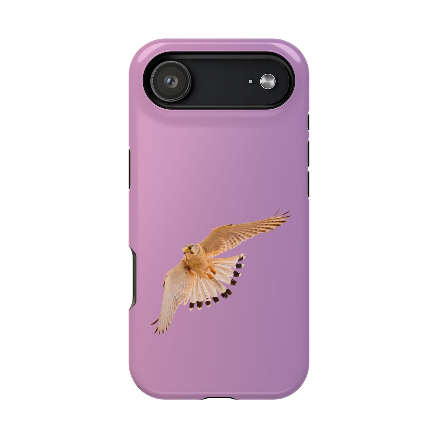 Nankeen Kestral - Magnetic Impact-Resistant Case - Fono Caso x EstebantheNatureman - Wildlife Case - Gift for Bird Lovers