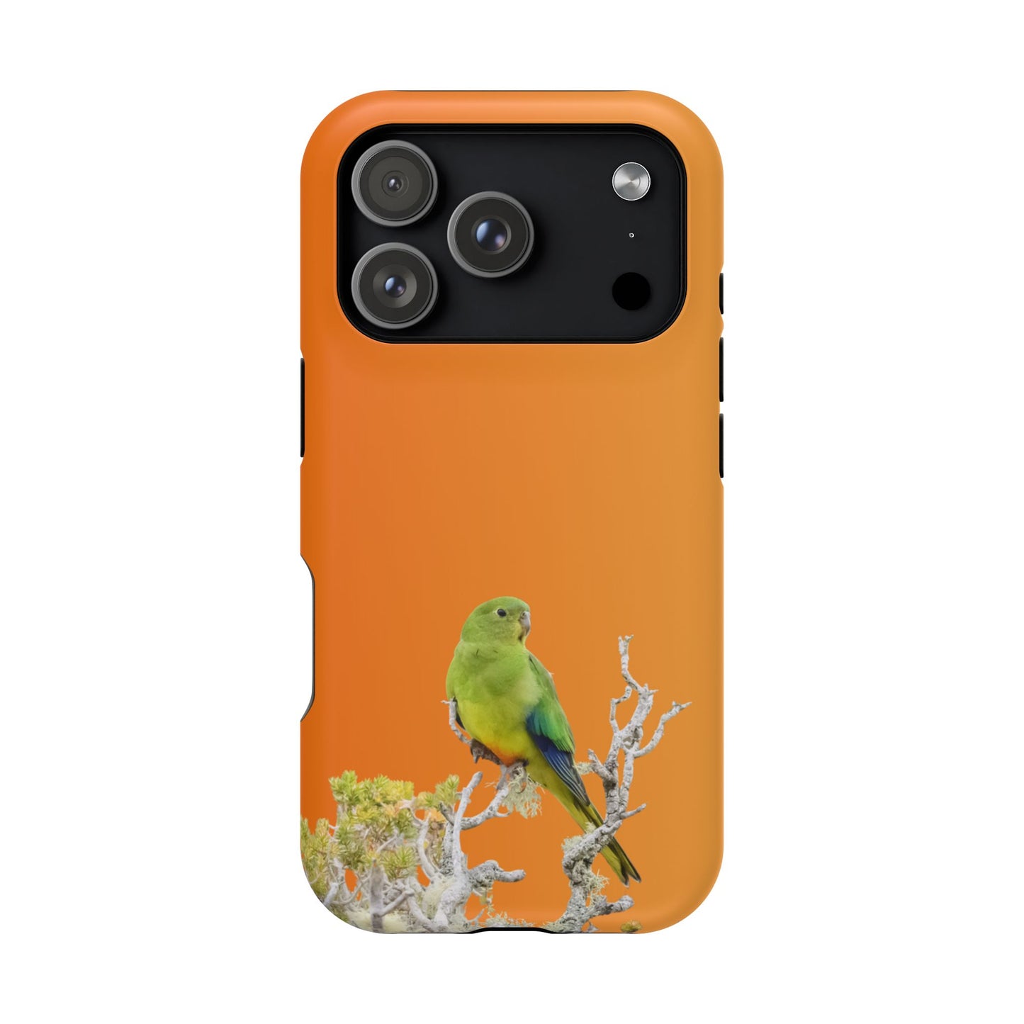 Orange-bellied Parrot - Magnetic Impact-Resistant Phone Case - Fono Caso x EstebantheNatureman - Wildlife Case - Gift for Bird Lovers