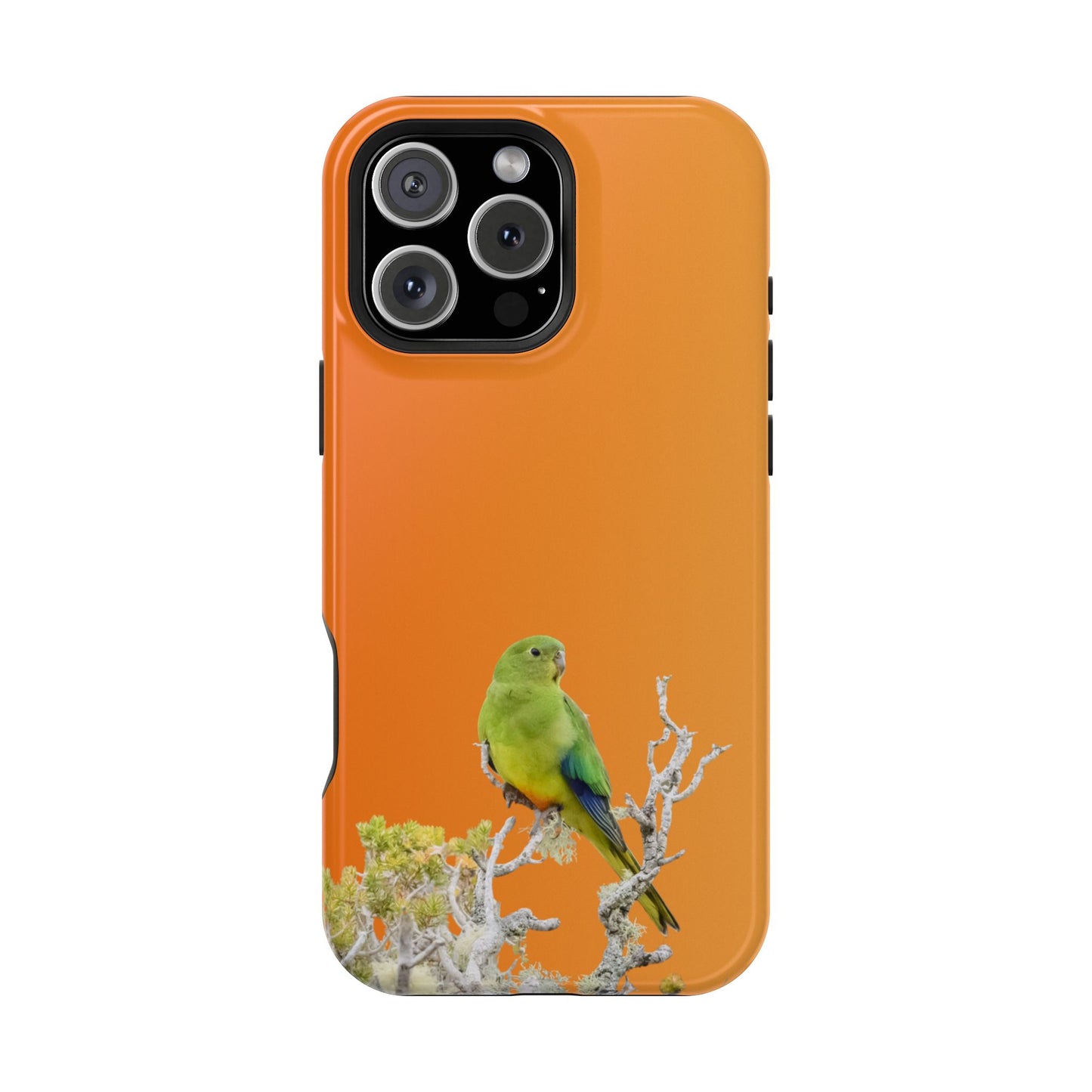 Orange-bellied Parrot - Magnetic Impact-Resistant Phone Case - Fono Caso x EstebantheNatureman - Wildlife Case - Gift for Bird Lovers