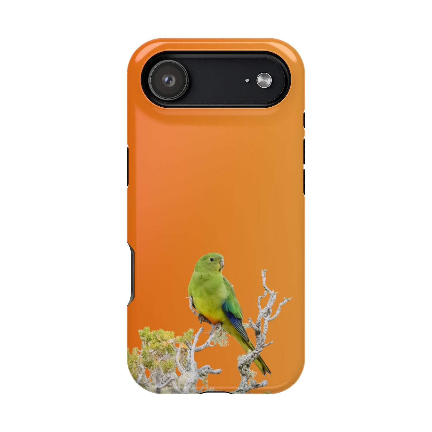 Orange-bellied Parrot - Magnetic Impact-Resistant Phone Case - Fono Caso x EstebantheNatureman - Wildlife Case - Gift for Bird Lovers