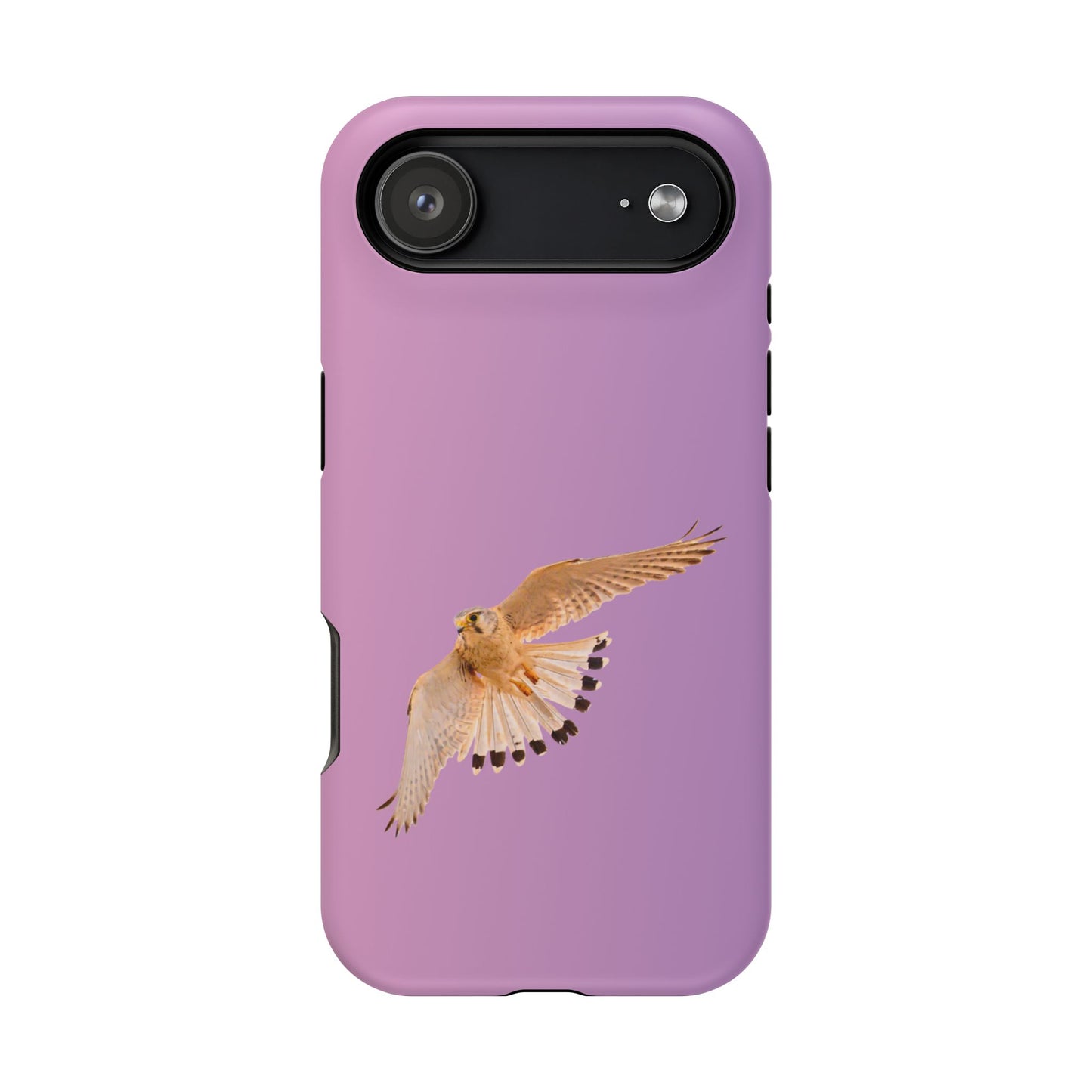 Nankeen Kestral - Magnetic Impact-Resistant Case - Fono Caso x EstebantheNatureman - Wildlife Case - Gift for Bird Lovers