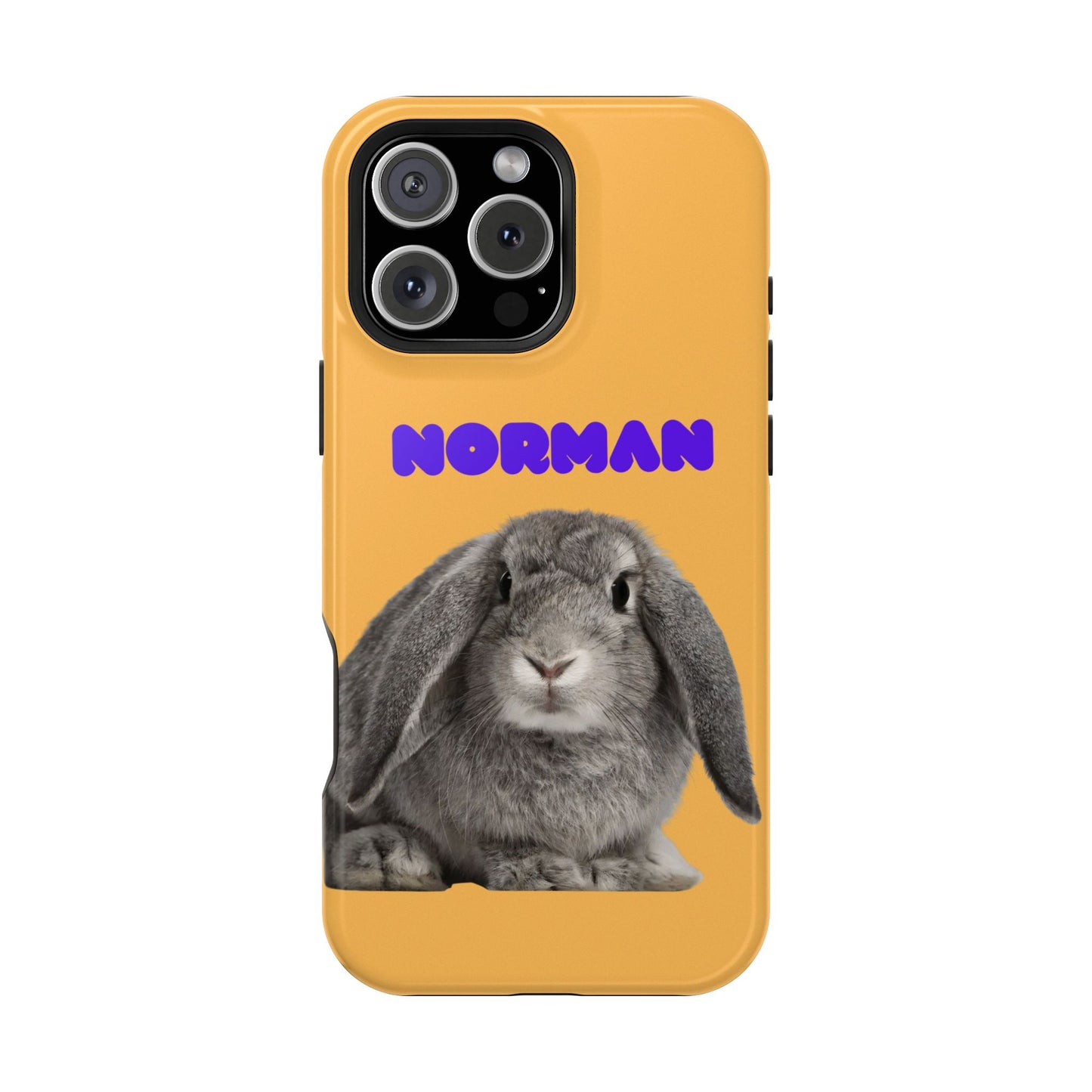 Customizable Magnetic Impact-Resistant Phone Case Your Pet Photo or Digital Painting with Name_7_iPhone 13 and up
