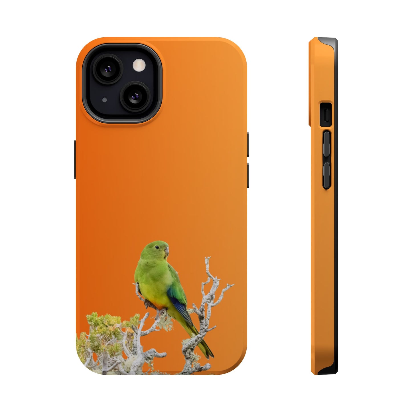 Orange-bellied Parrot - Magnetic Impact-Resistant Phone Case - Fono Caso x EstebantheNatureman - Wildlife Case - Gift for Bird Lovers