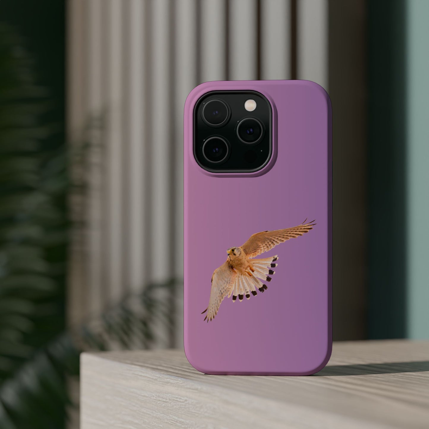 Nankeen Kestral - Magnetic Impact-Resistant Case - Fono Caso x EstebantheNatureman - Wildlife Case - Gift for Bird Lovers